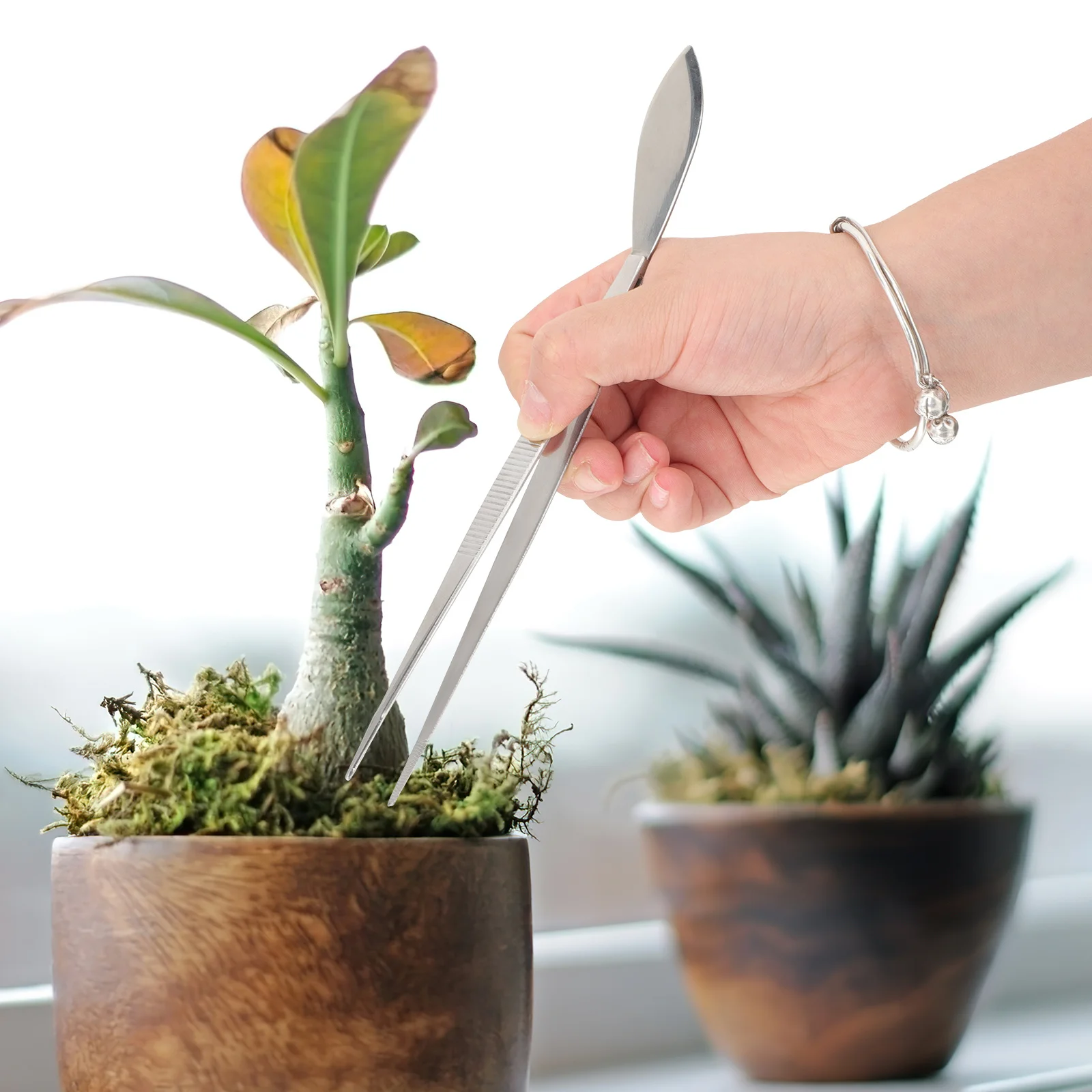 1 قطعة أداة ملاقط بونساي الفولاذ المقاوم للصدأ طرف مستقيم لترتيب الطحلب برعم قطف المزدوج نهاية ملعقة مكشطة أدوات البستنة