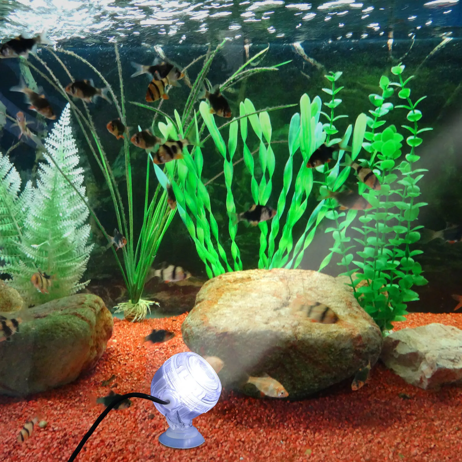 

Small LED Aquarium Light Waterproof Color Changing Spot Light Night Fish Tank Lamp for Aquarium Decorations Fish Lamp