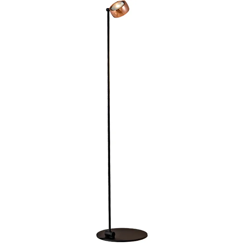 

Minimalist living room floor lamp, designer model, gesture adjustment, high end light luxury, desk lamp