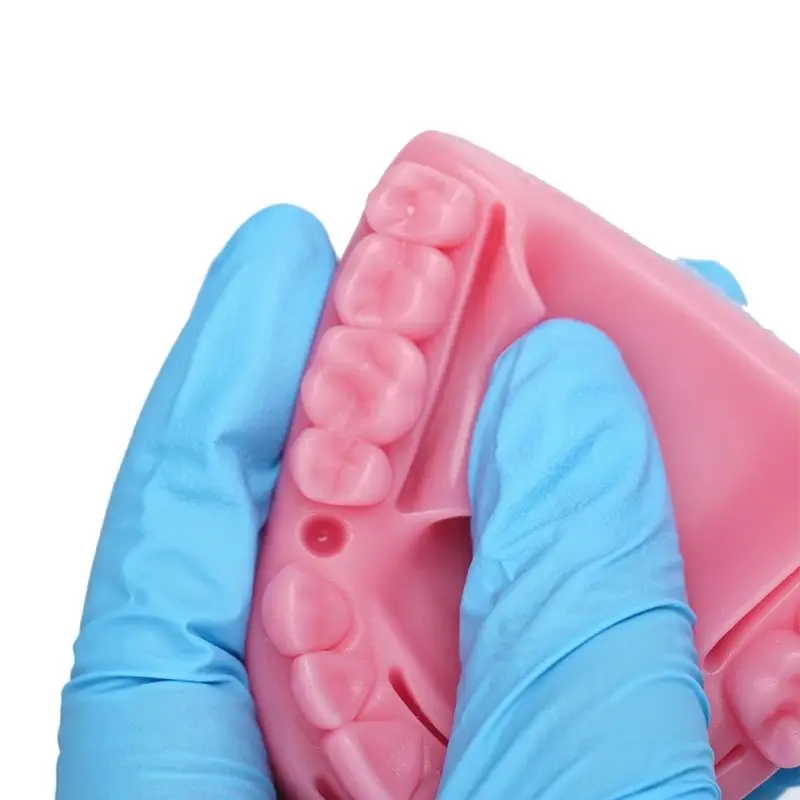  2Pcs Dental Oral Gingival Skin Suture Module Training Kit Silicone Periodontitis Suture Teaching Practice Pad