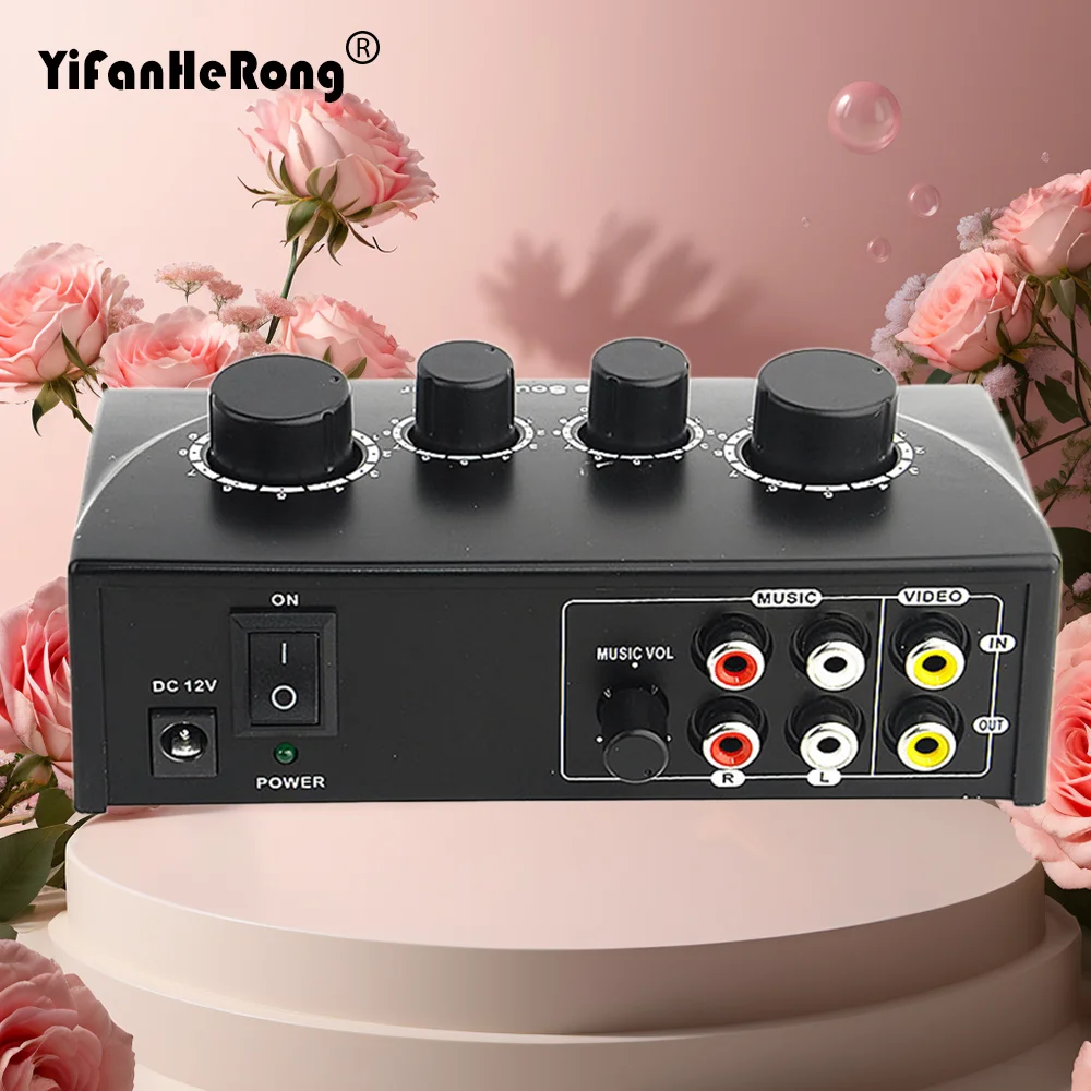 Dual Mic Inputs Aud…