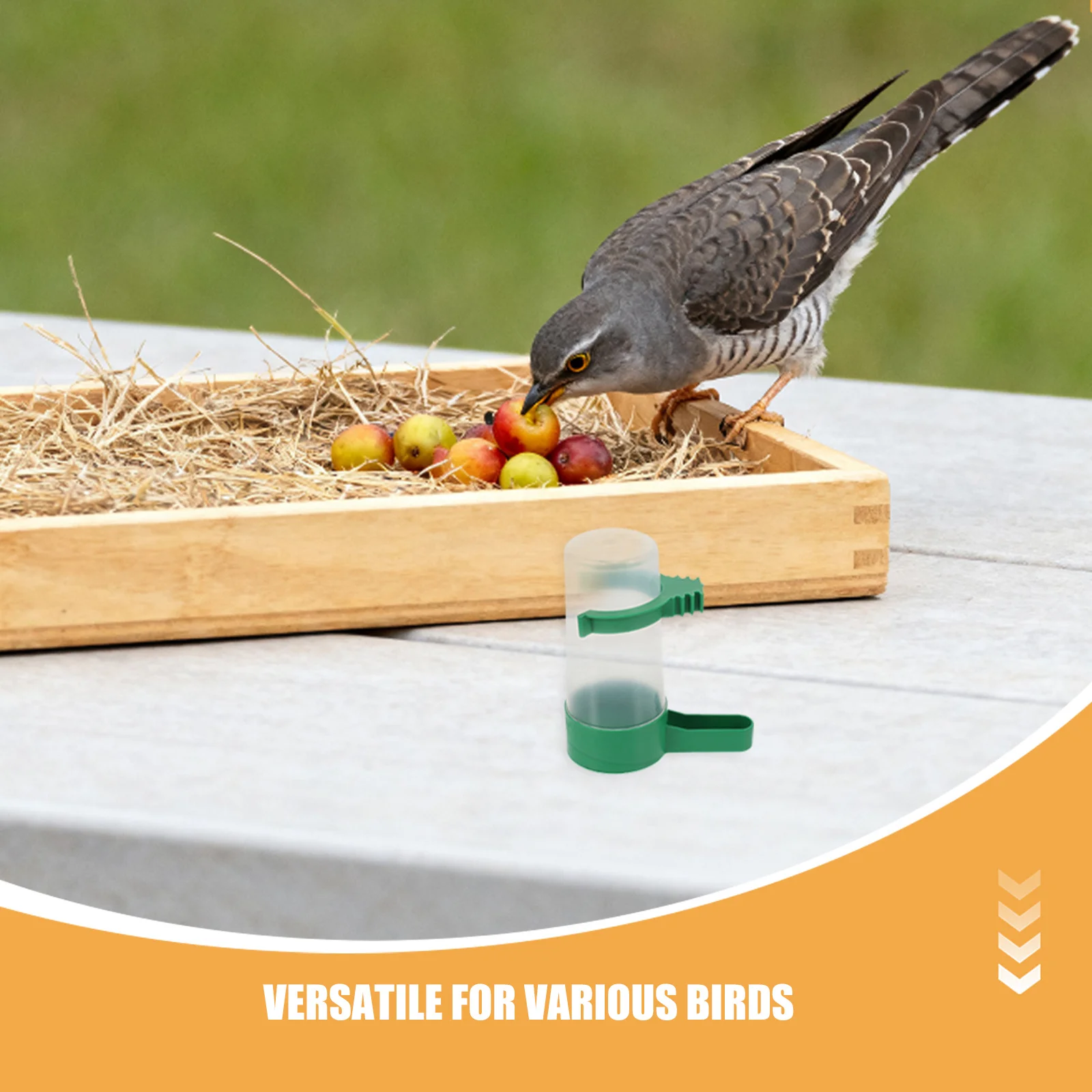 18 قطعة موزع مياه الببغاء الأوتوماتيكي قفص الطيور وعاء مياه مقاوم للانسكاب الشرب المغذية لموزع الطيور الببغاء