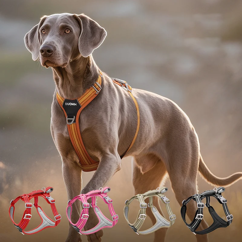 

Wear-Resistant Escape-proof Dog Harness and Leash Set Adjustable Reflective Comfortable Outdoor Dog Vest Arneses Para Perros