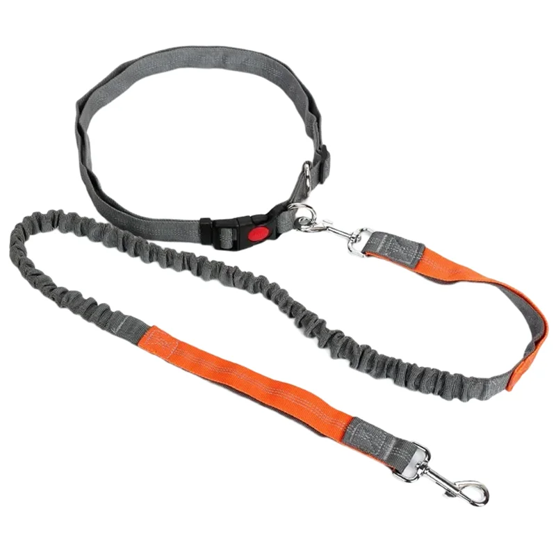 A84E-Pet Elasticity… - image