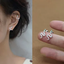 New 925 Sterling Silver Flash Diamond Small Snake Earrings Men And Women Personality Unique Trend Fashion Earrings Party Jewelry