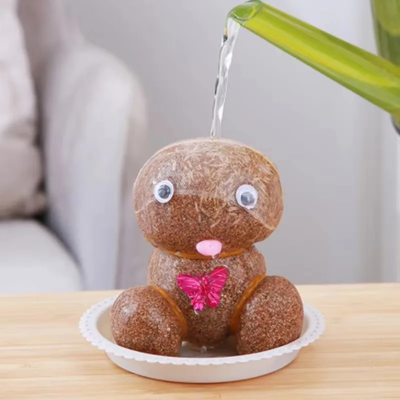 Room Decor Home DIY Decoration Small Growing Grass Head  Plant Beautiful Children Gift Indoor Balcony Baby Pot Planters Home Gif image 2