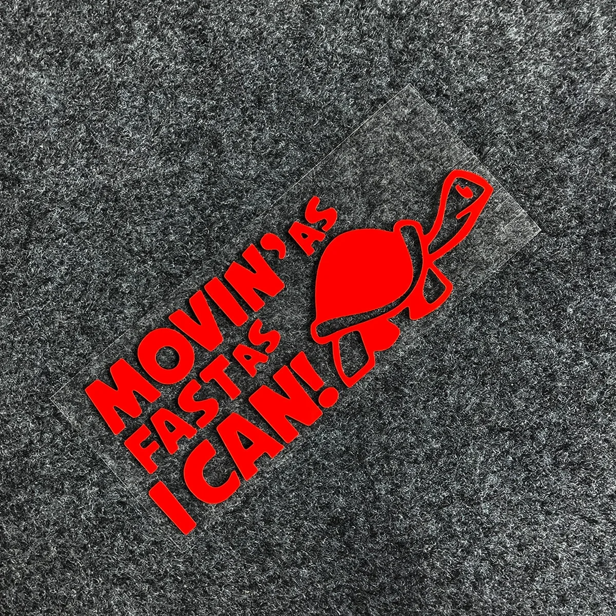 1PC Funny Turtle 