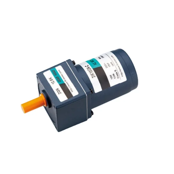 Hot Sale Factory Price 6W Single Phase 220V Geared Motor Low Rpm 220v Ac Gear Motor for Conveyor Belt