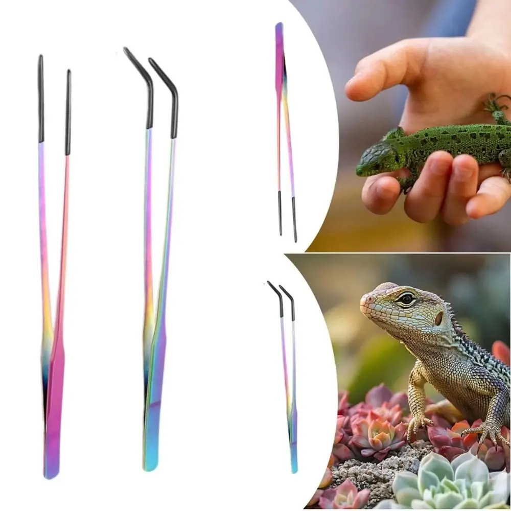 

2Pcs Stainless Steel Aquarium Feeding Tweezers 27CM Non-slip Lizard Feeding Tweezers Rust Resistant Corrosion-resistant