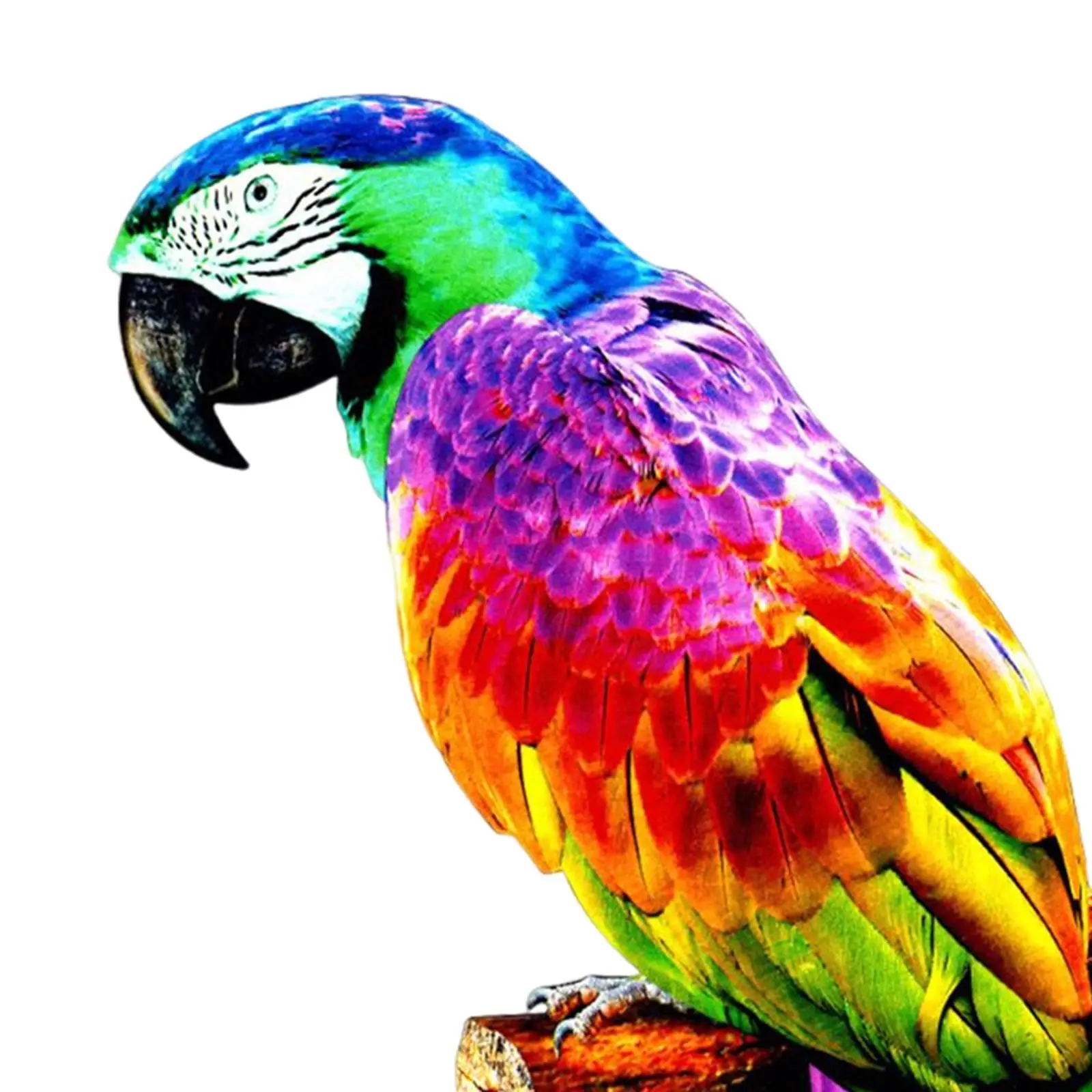 Iron Parrot Statue with Feather Design for Garden Patio Yard Decor Hanging Bird Ornament Macaw Figurine Creative Animal Art