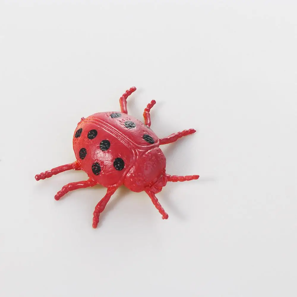 Jouet modèle jouets faux insecte PVC coccinelle cafard insecte modèle réaliste insecte Figurine Simulation insecte Animal insectes jouets