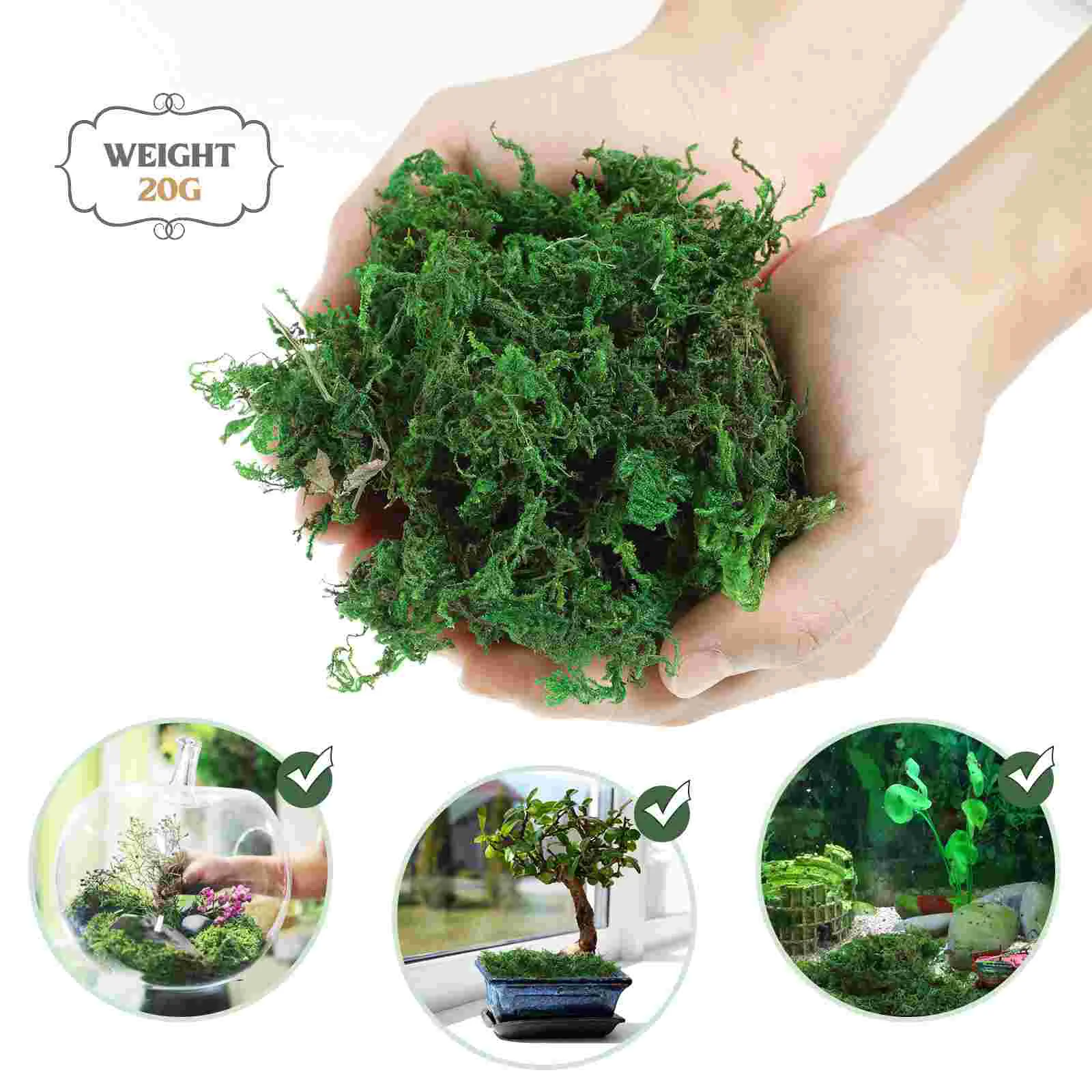 Terrário decoração musgo para artesanato jardinagem falso bonsai seco decorativo verde artificial