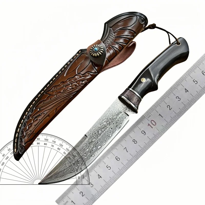 VG10 Damascus Fixed Blade Knife Portable Fruit Meat Kitchen Cutlery Collectible Handmade Small Knife with Knife Sheath view 6