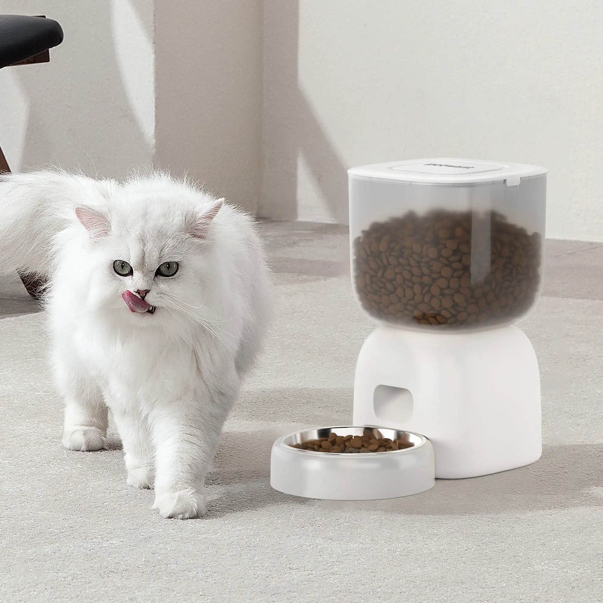 Imagem -03 - Petwant- Alimentador Automático Pet Dog Cat Kbble Dispenser Bowl Food Outlet Selado Design Temporizado Acessórios do Carro 3l Aço Inoxidável