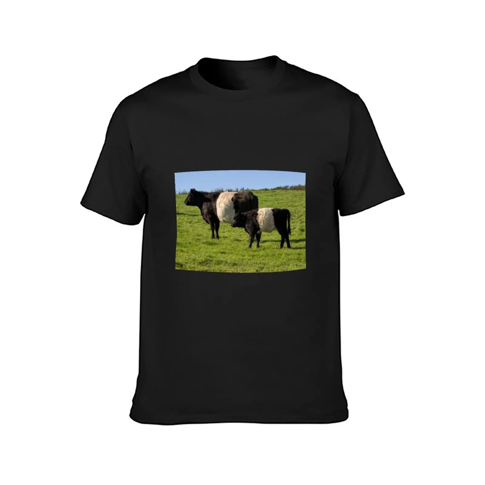 Belted Galloway Cattle T-Shirt korean fashion sweat graphics customs design your own men clothings