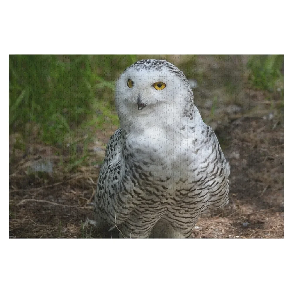 

Alaskan Snowy Owl - Summer Jigsaw Puzzle Wooden Adults Personalized Gift Married Customized Picture Puzzle