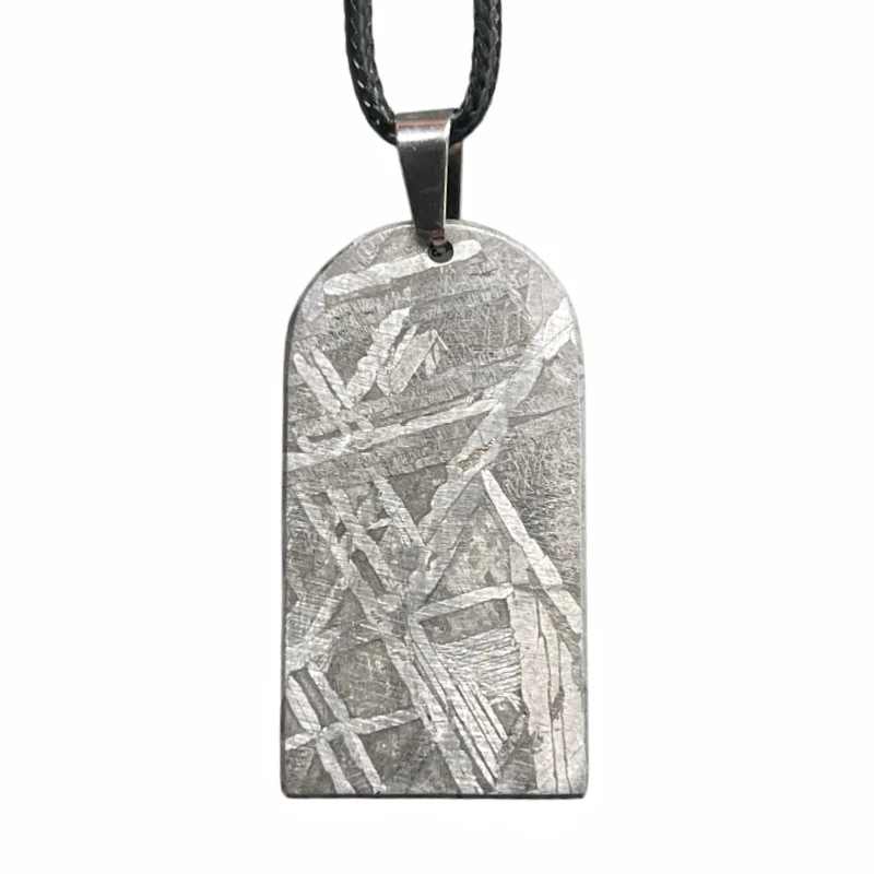 Muonionalusta Unique Tree of Life Meteorite Pendant Gift for Astronomy Lovers Meteorite Pendant Cosmic Protection Necklace LK340