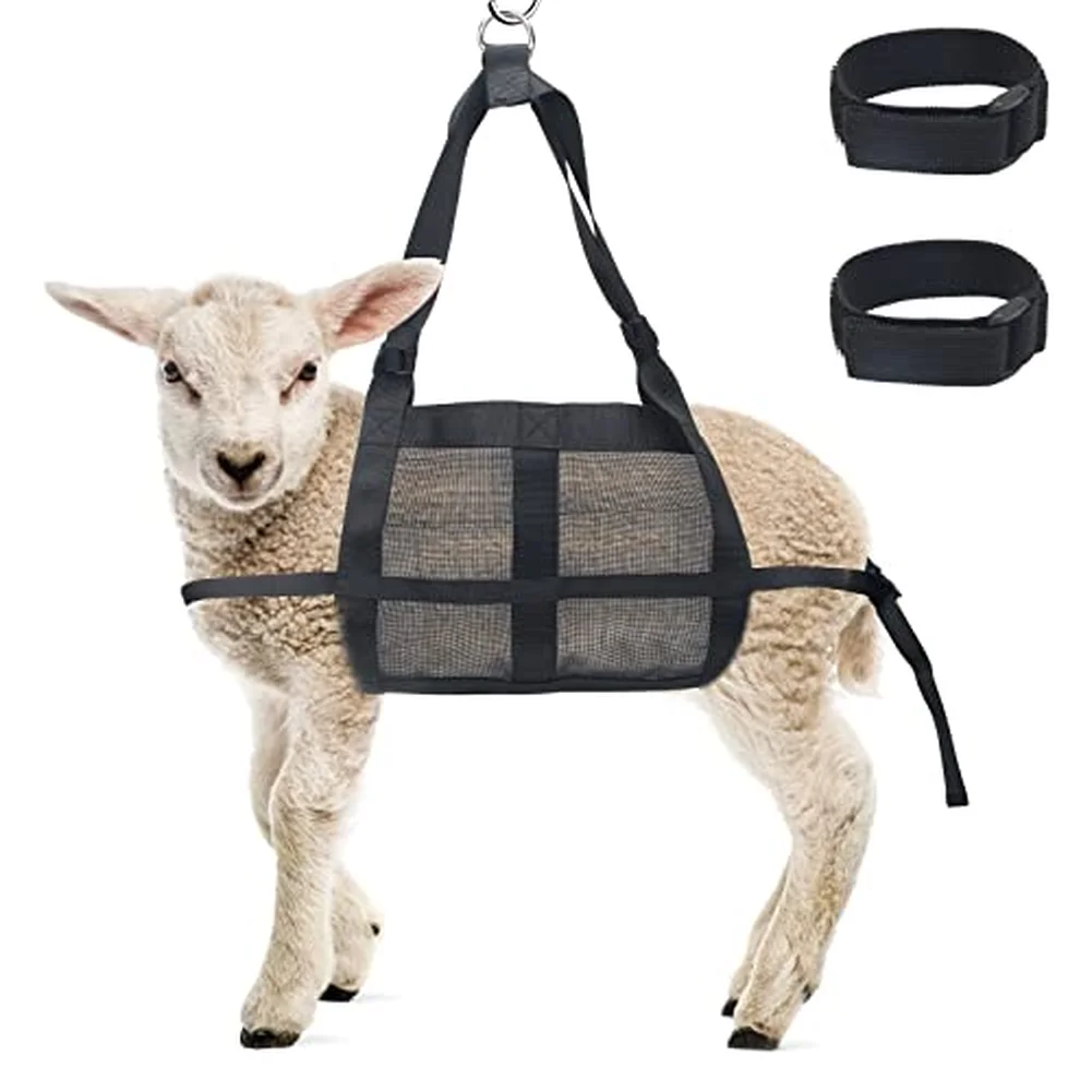 Small Pet Hanging Scale Strap Nylon Livestock Weighing Rope 35 59cm Black Portable Animal Weight Monitoring Harness