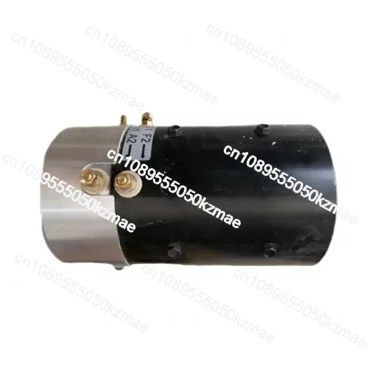 

DV9-4009-GN 48V DC Gear Motor High Torque Worm Drive for Electric Tourist & Sports Vehicles
