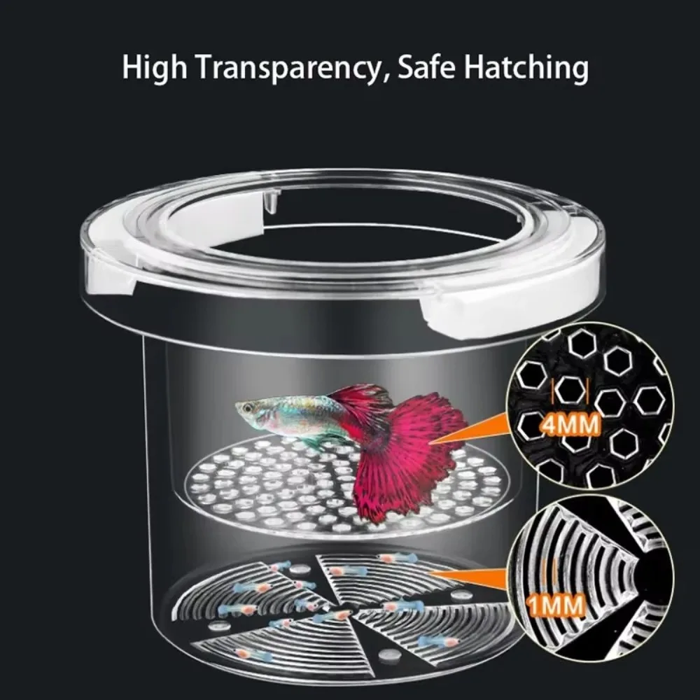 Acrylic Aquarium Is…