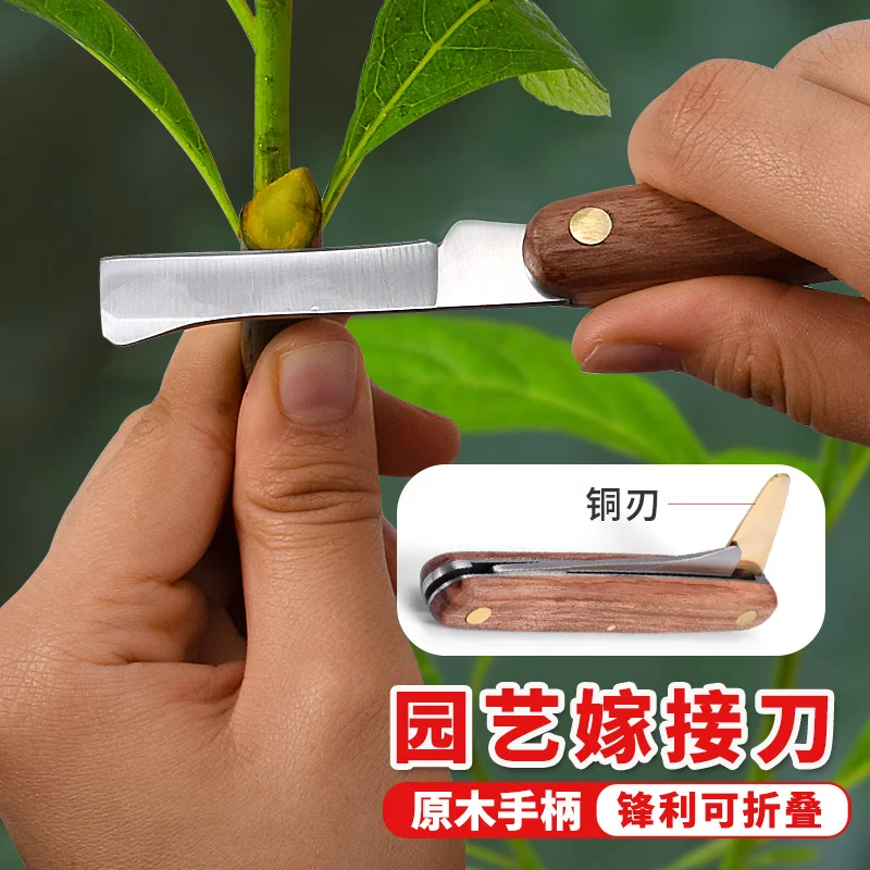 Grafting Tools Foldable Grafting Pruning Knife Professional Garden Grafting Cutter Stainless Steel Wooden Handle Knife Tool