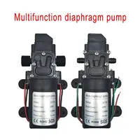 Bomba de agua de diafragma de alta presión, Micro bomba de agua eléctrica negra, autocebante, pulverizador de agua para coche, 12V, 120psi, 5LMin