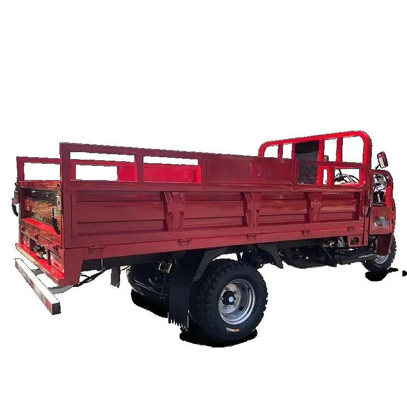 New Design High Quality Super Power 300cc Adult Freight High Power Motor Tricycle xyl