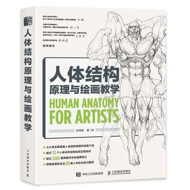 Animation Human Body Structure Principle and Drawing Sketch Basic Tutorial Book Hand Painted Technique Teaching for Beginners