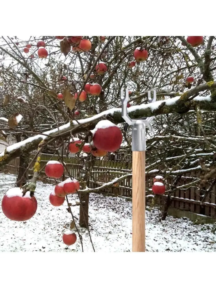 

652F Pack Of 20 Rust Proof Plant Branch Support Brackets Reinforced Metal Construction For Fruit Bearing Trees