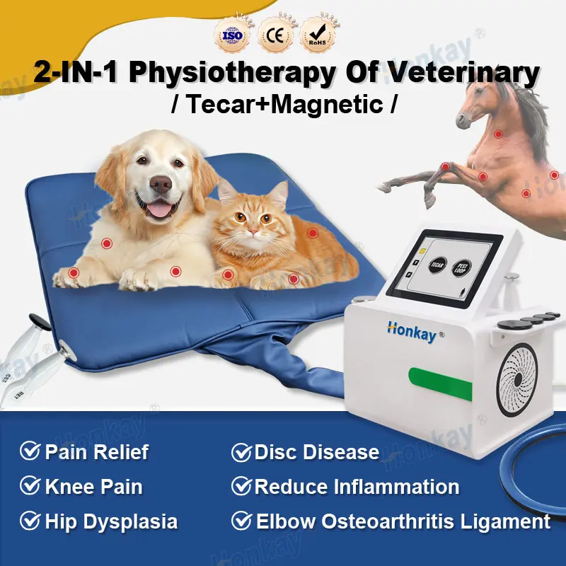 2 IN 1 PEMF 448K TECAR Therapy Machine Veterinary Use CET RET RF Magnetic Physio Device for Dog Horse Pet Pain Relief Recovery