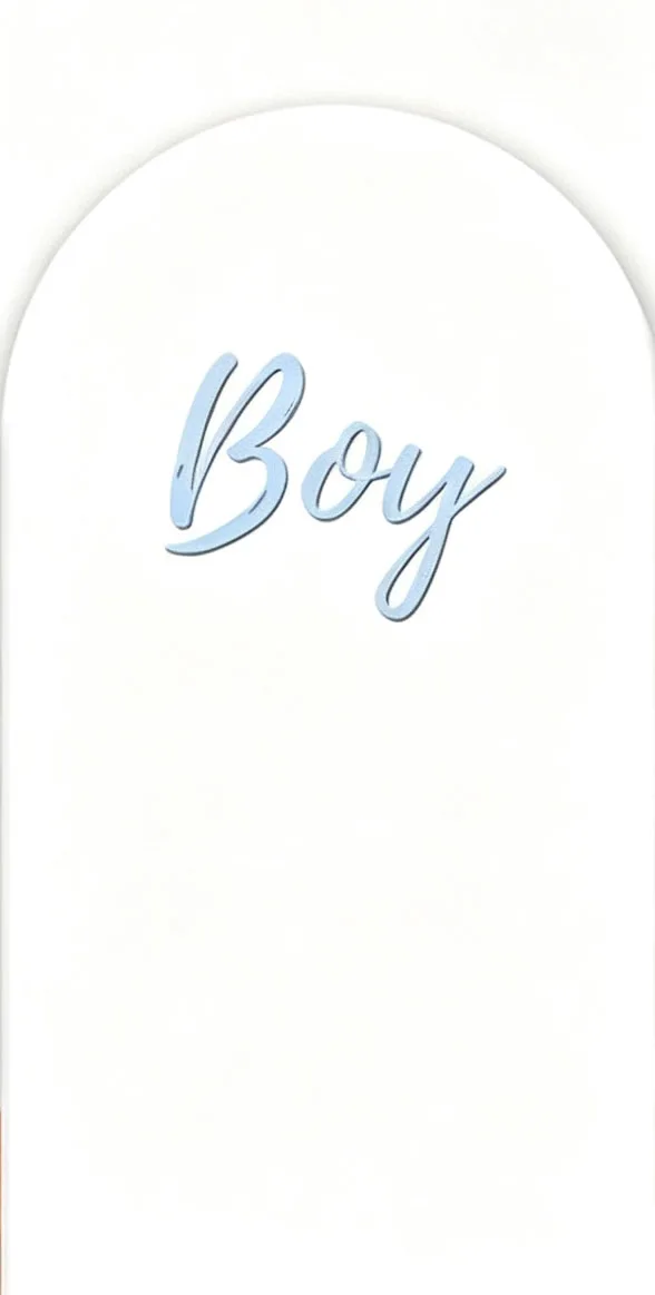 Custom 2-Side He Or She Baby Shower Arch Backdrop Cover Bunny Gender Reveal Birthday Party Decor Backdrop Photo