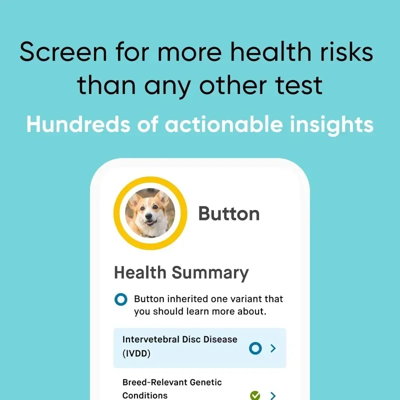 ชุด Breed & Health Kit - การทดสอบ DNA ของสุนัข - ค้นพบ Breed, Ancestry, Relative Finder, สุขภาพทางพันธุกรรม, Traits, COI