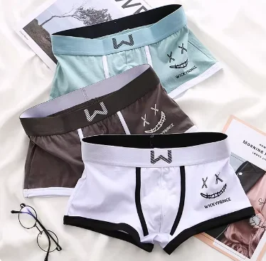 Boxers U-Convexe en Coton pour Homme, Sous-Vêtements Sexy et Confortables, 3 Pièces