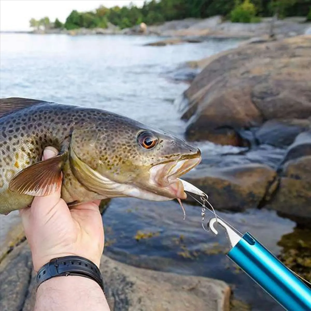 

【AUTUMN】2X Fish Hook Remover Tools,Handheld Digital Fish Scale Squeeze-Out Fish Gripper Fishing Combo Kit