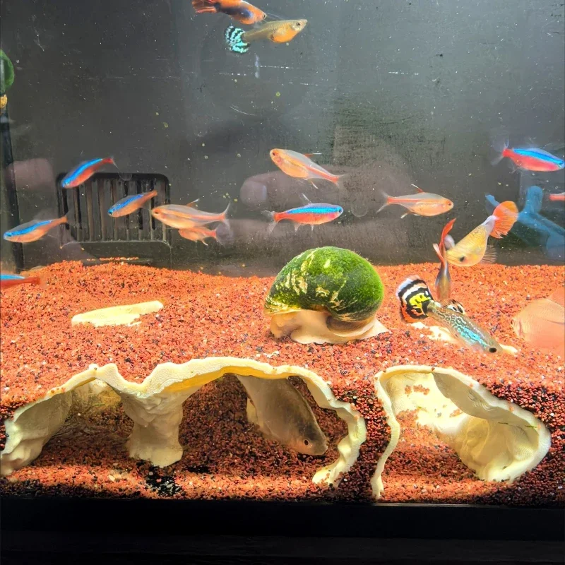 خزان الأسماك تحت الماء قصر إخفاء الكهف للأسماك الروبيان الزواحف المأوى ، المناظر الطبيعية الحلي ثلاثية الأبعاد مطبوعة حوض السمك الزينة