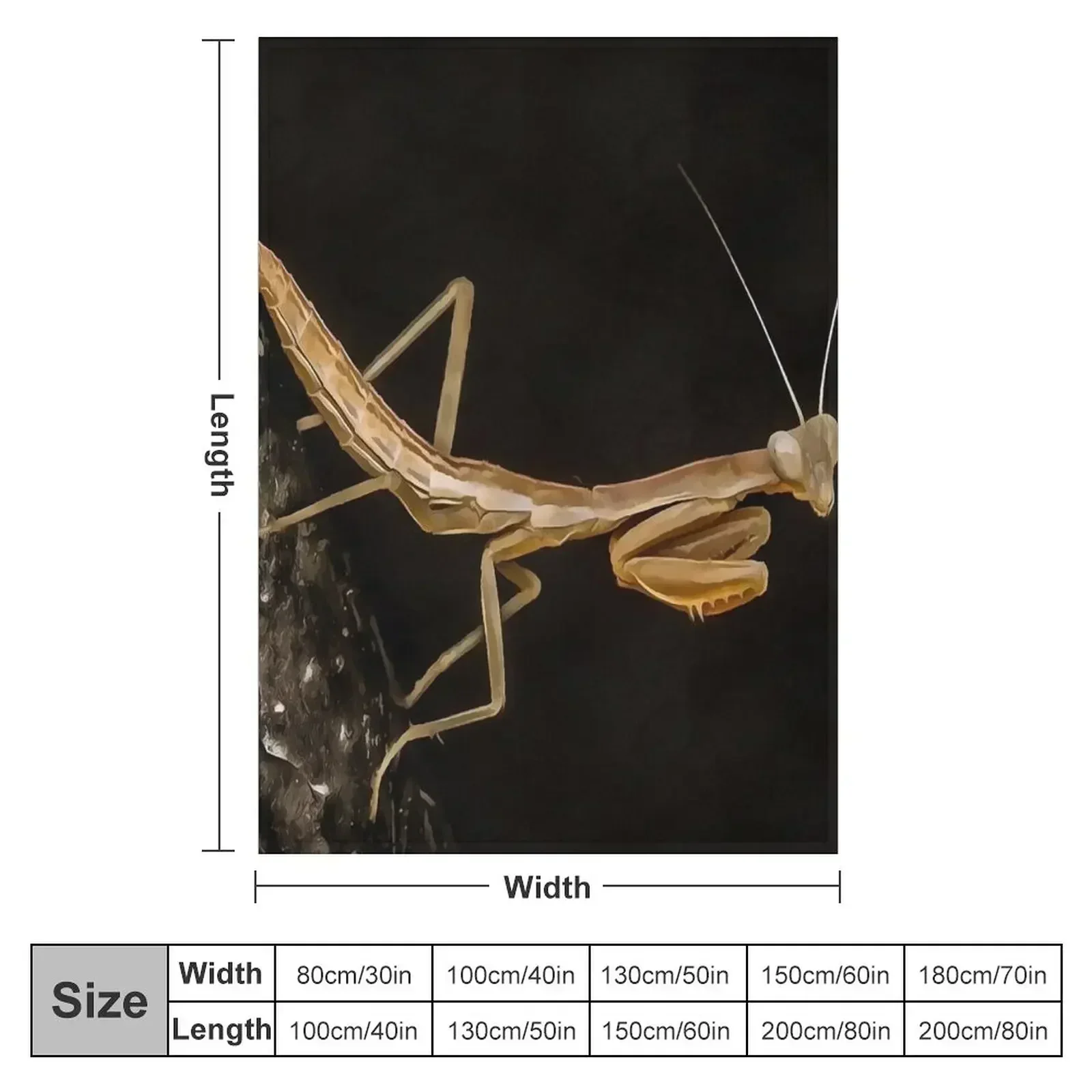 Praying Mantis Cute And Creepy Insect Art Throw Blanket Furry Luxury Throw Plaid Sofa Quilt Sleeping Bag Thermal Blankets