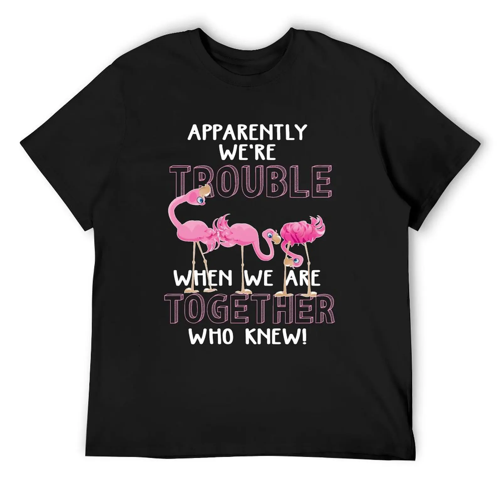 

Apparently We're Trouble When We Are Together Flamingo Tee shirt T-Shirt sublime graphic t shirt vintage mens fashion