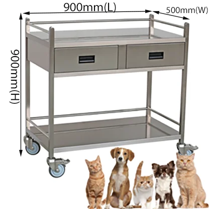 Aeolus Animal Deluxe Mobile Tool Cart with Cabinet Pet Veterinary Tool SS Instrument Trolley 500mm, 1 drawer with Rails