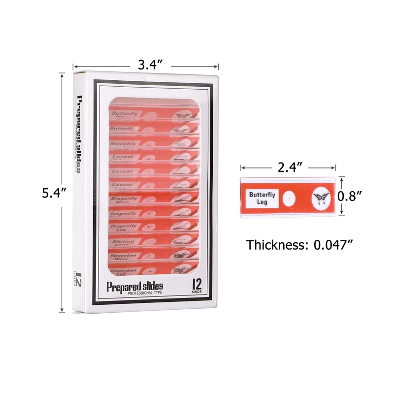 Preparowane szkiełka mikroskopowe zestaw 48 sztuk zwierząt owadów sadzi kwiaty próbki okazów do edukacji dzieci