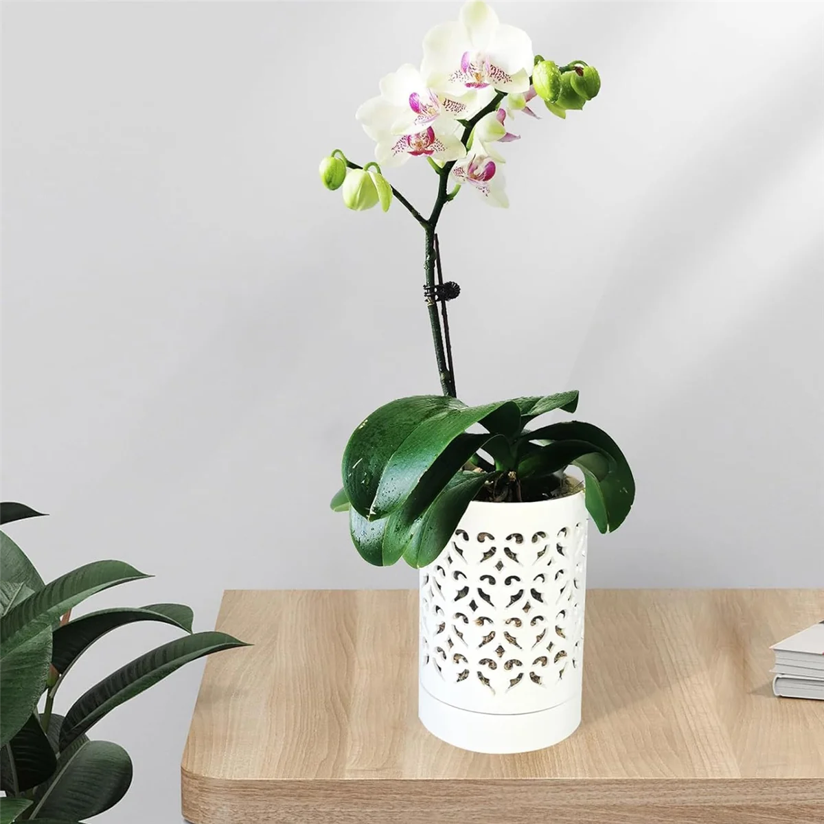 Orchid Pots with Holes,4 Inch Ceramic Orchid Pot for Repotting, Flower Planter Pot Indoor Outdoor, Breathable White