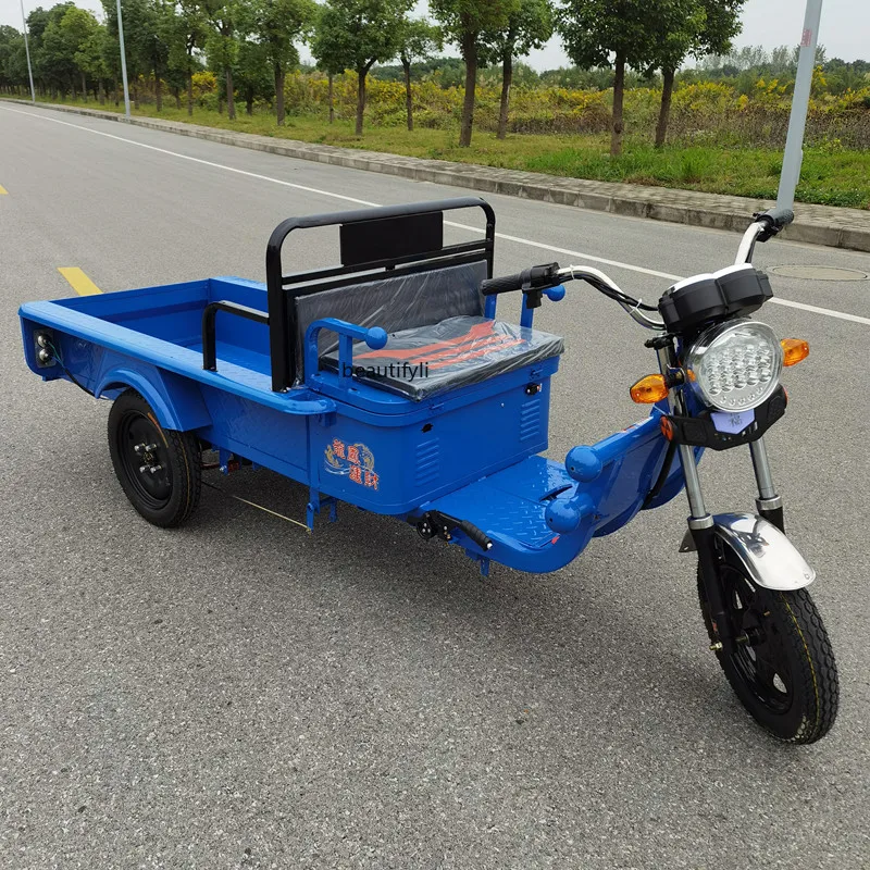 Electric Tricycle Adult Home Use Freight Car Battery Load Mountain Version