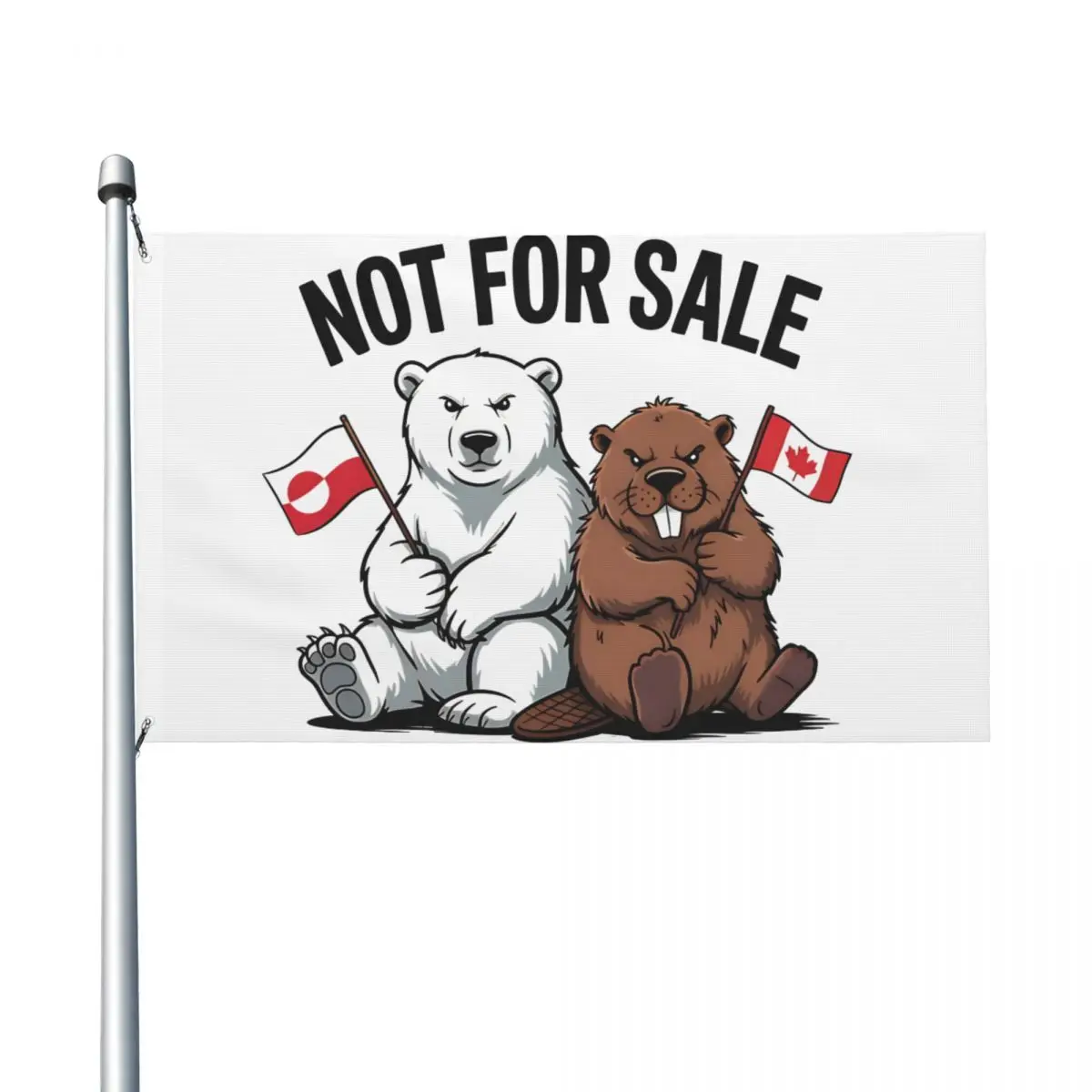 Canada Greenland Is Not For Sale Flag Polyester Hanging Banner For Home Decoration 3x5 ft Funny Flags
