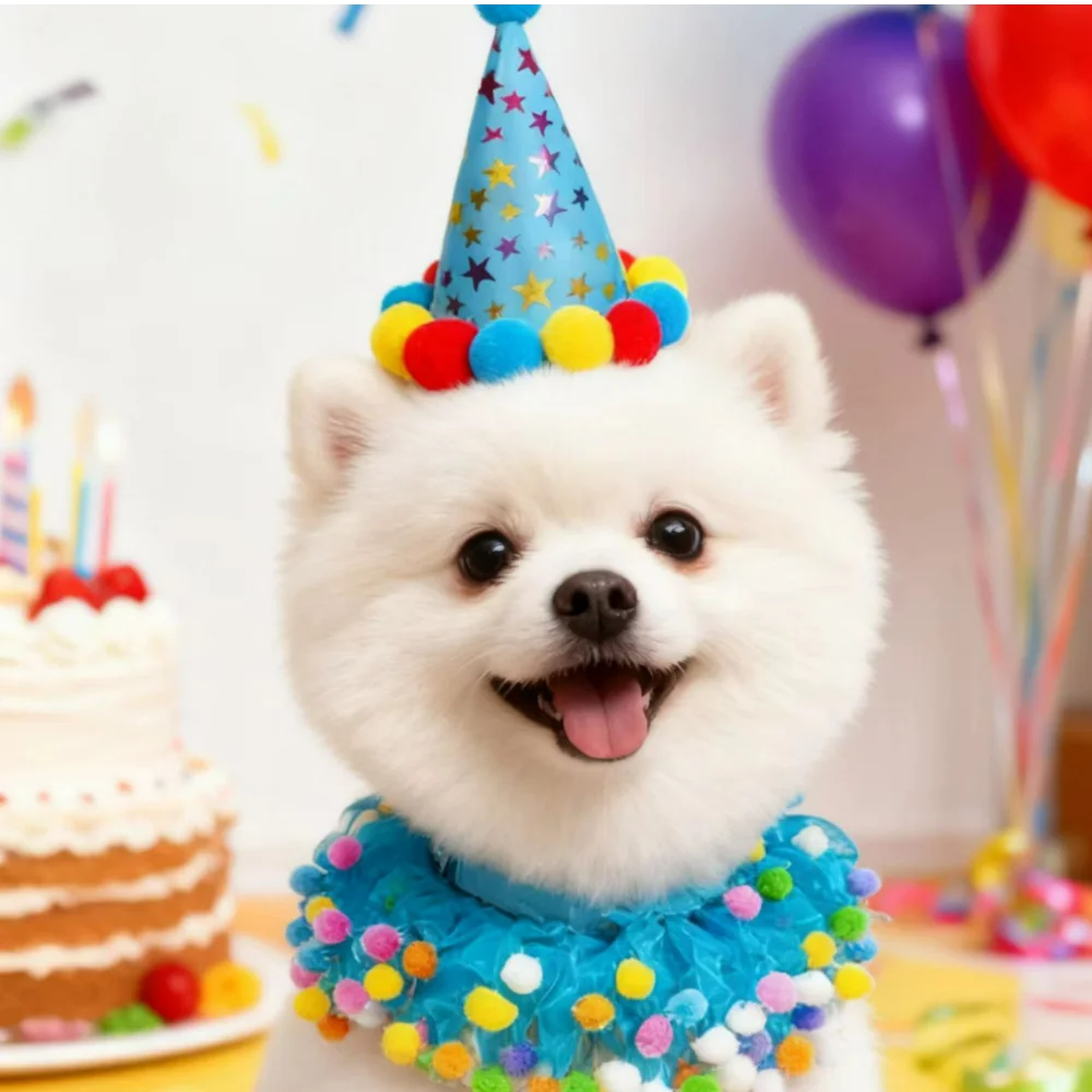 

Dog Birthday Hat and Collar, Kitty Gauze Skirt, Pet Pom-pom Hat, Party Decoration Two-piece Set, Cat And Dog Party Decoration