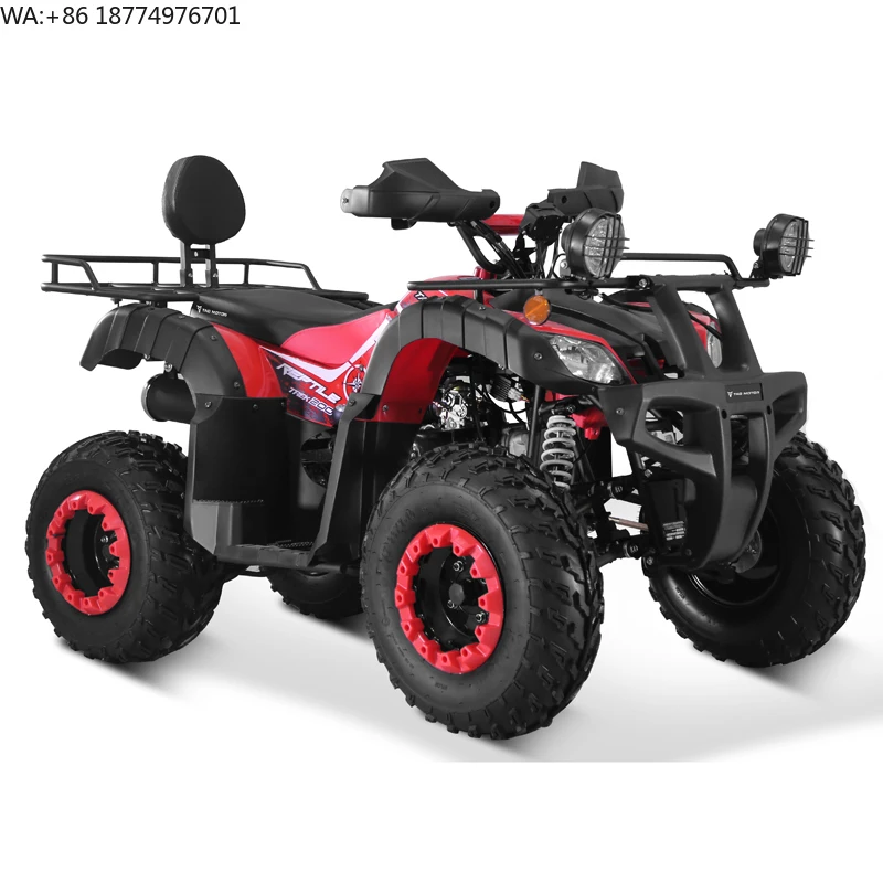 Cuatrimoto Todoterreno de 2 Plazas con Transmisión Automática por Cadena Tao Motor, ATV de 150cc