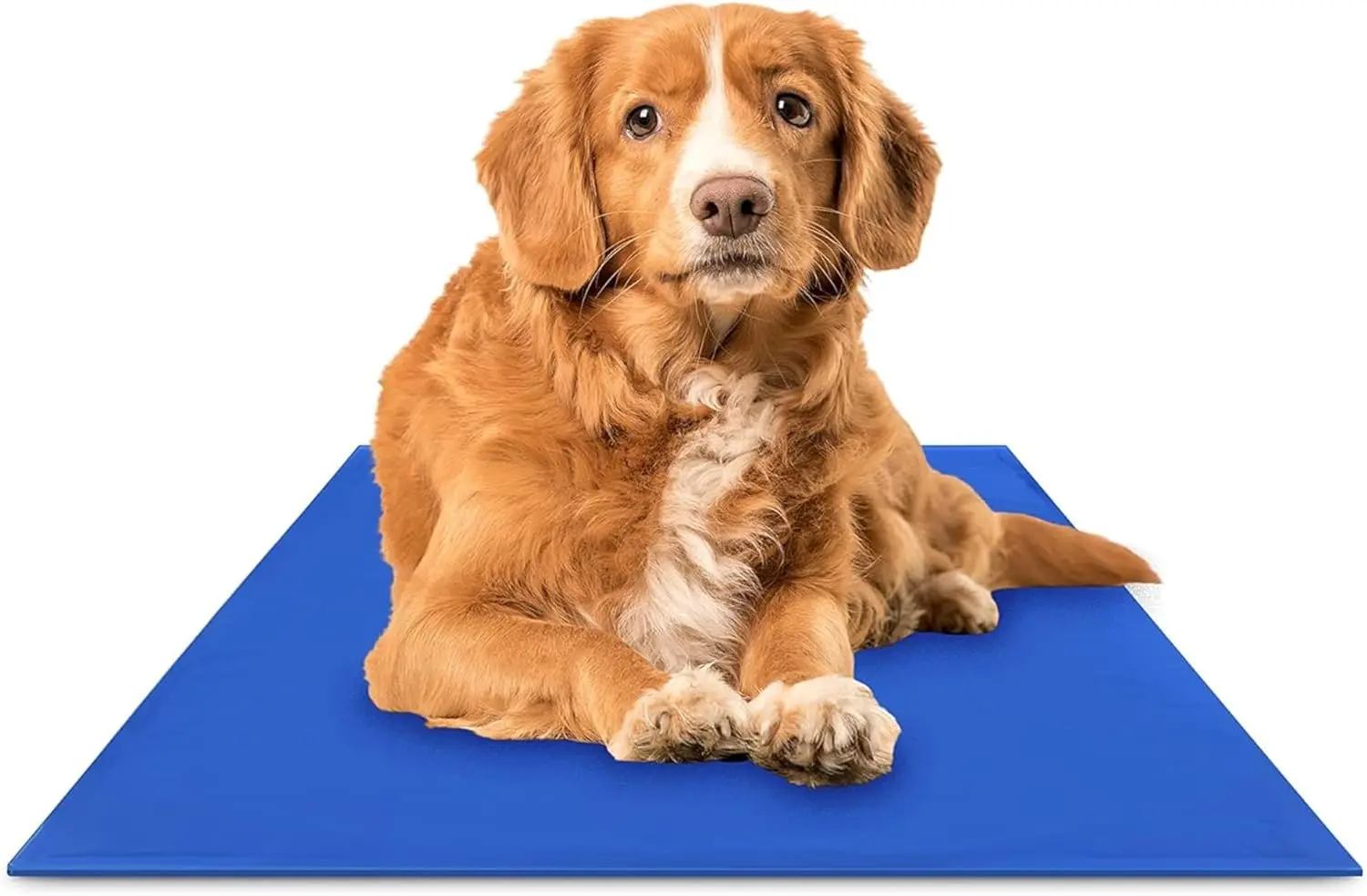 Green Pet Shop  Gel Mat, Med - Self-Cooling for Pets 0-25lbs, Safe, No Refrig, Home/Travel.