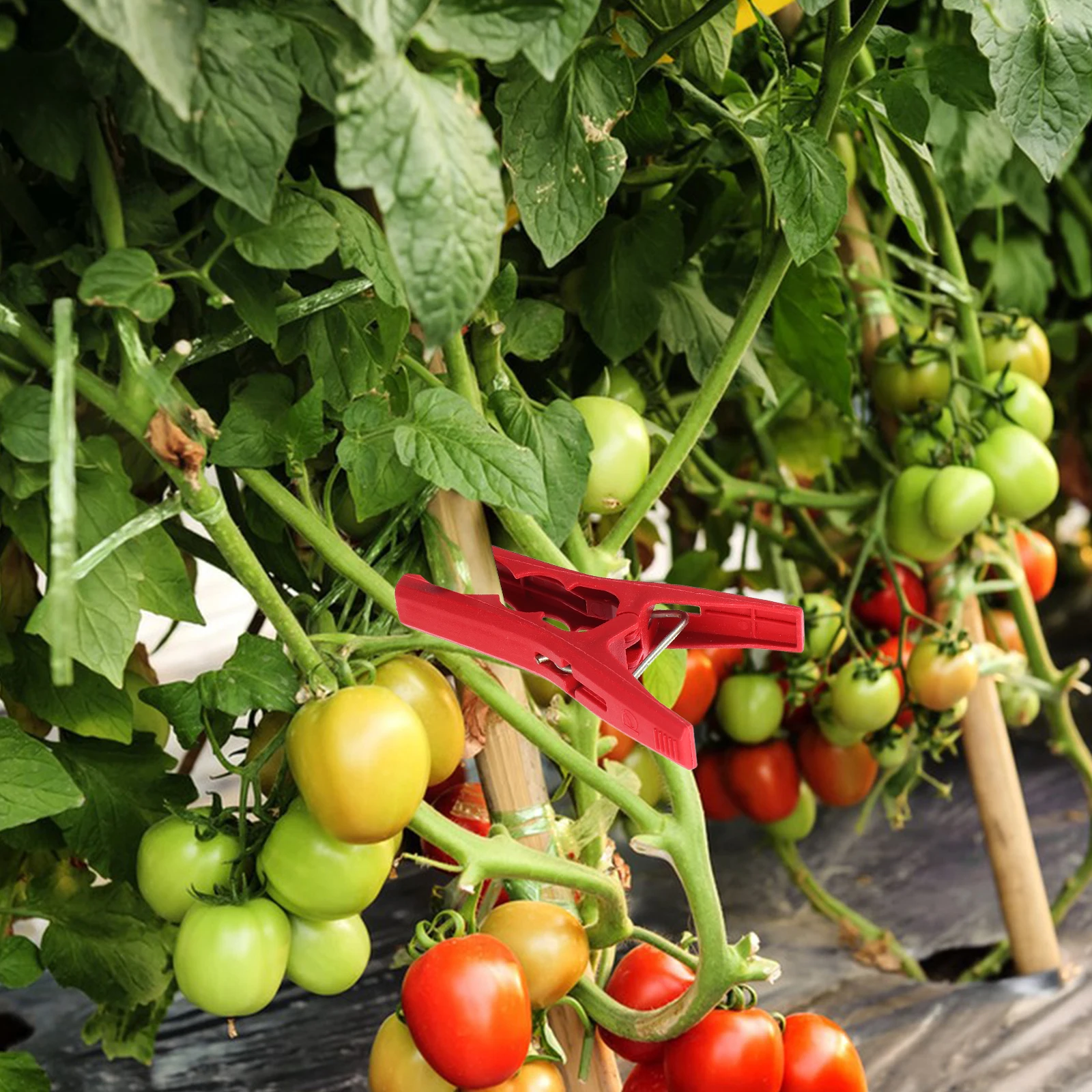 

50Pcs Plant Support Clips Plastic Reusable Trellis Clips for Tomato Cucumber Climbing Vines Garden Plant Fixing Clamp