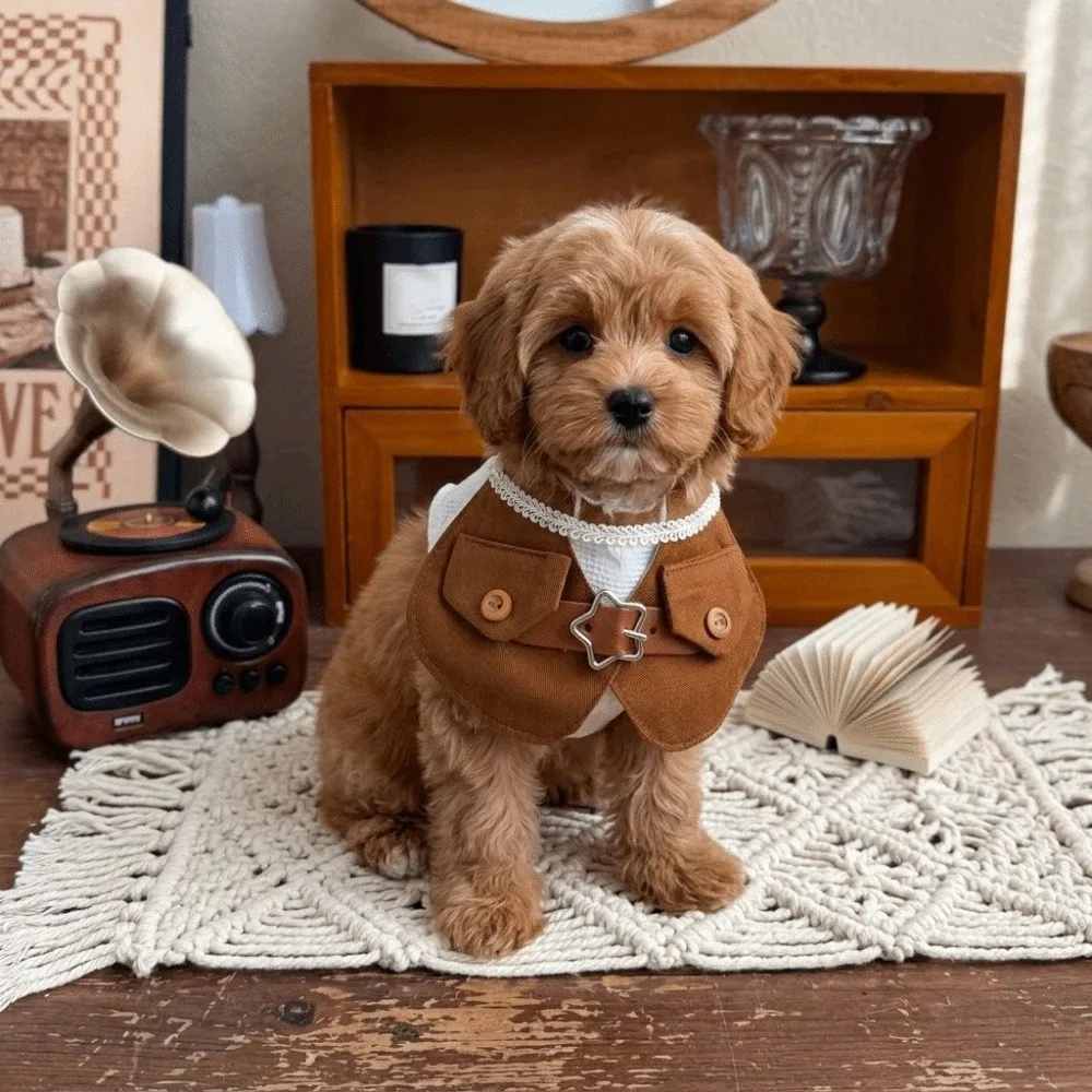 Cute Denim Dog Cowboy Costumes Retro Dress-Up Pet Outfits with Bow Tie with Star Hat Cats Costume Pet Cosplay