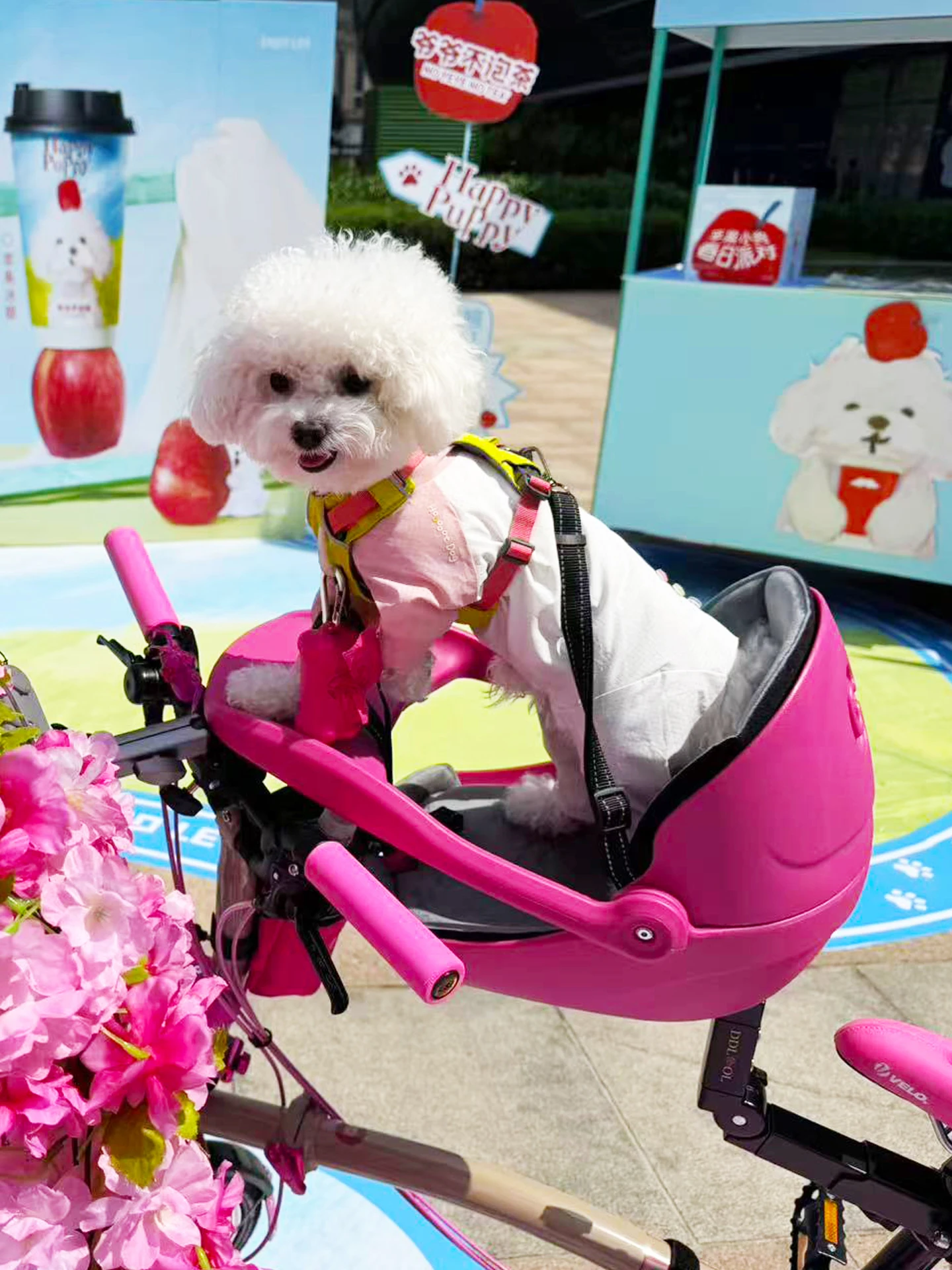 Bicycle Road Bike Daxing Pet Seat Chair Basket Safety Dog Seat Accessories