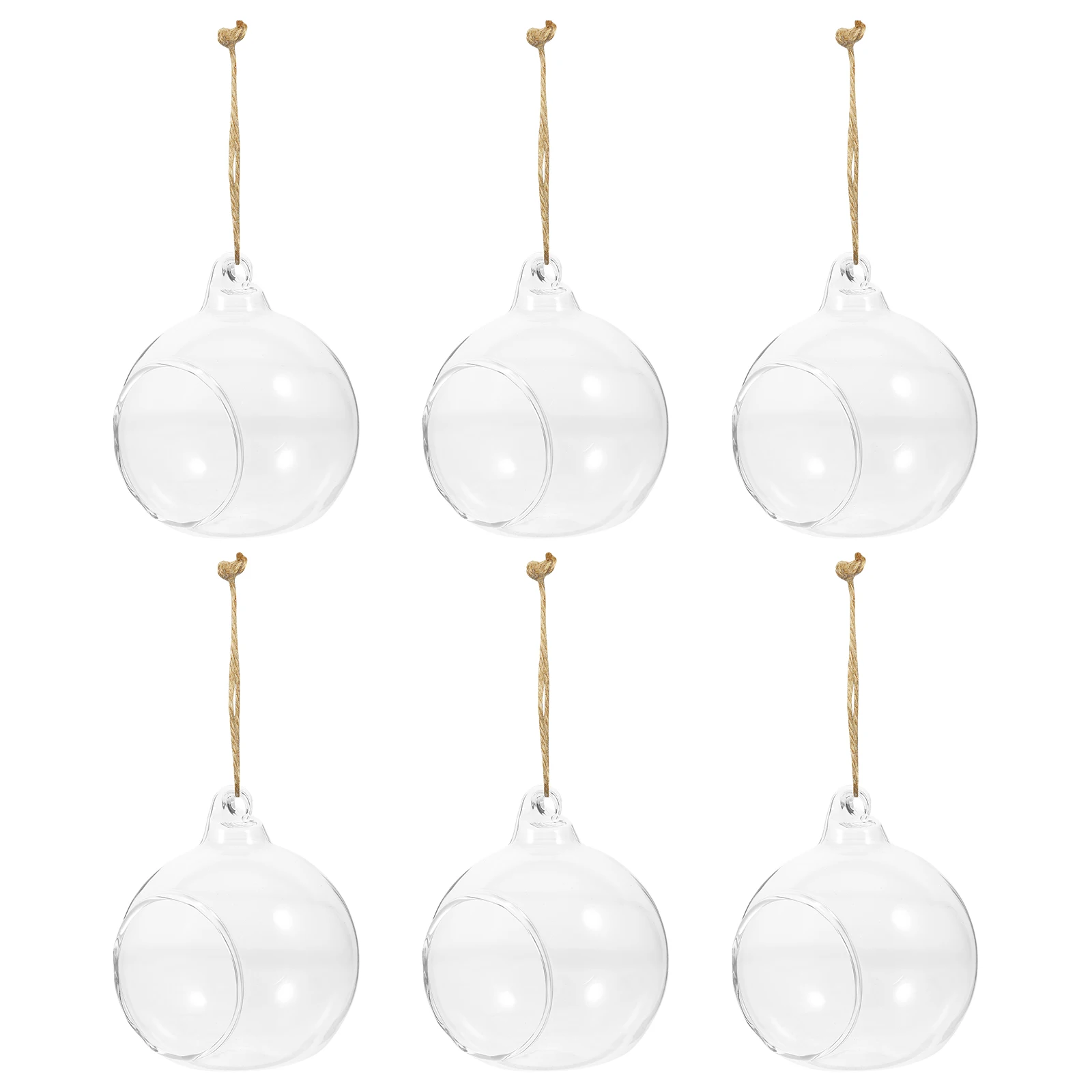 

6 Pcs Glass Ball Hanging Basin Vase Ornaments Hydroponic Clear Wall Planter Hydroponics Planting Vases