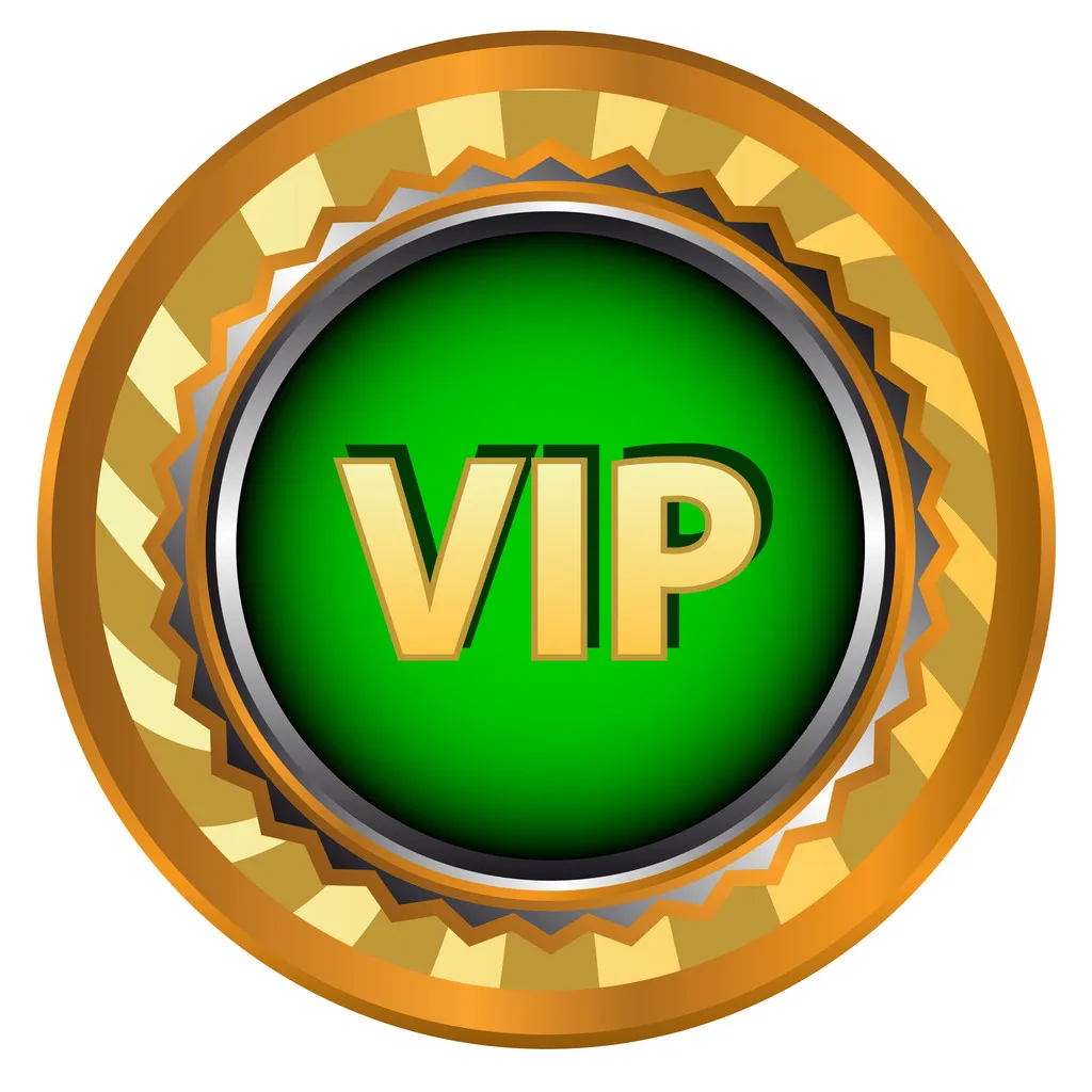 Стоимость доставки VIP/разница в почтовых расходах, дополнительная оплата вашего заказа и дополнительные сборы на складе